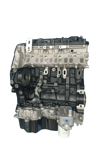 Ford Transit V347 Platform 2.2 TDCi Komple Sandık Motor